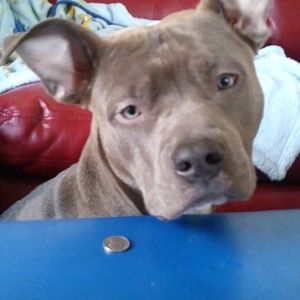 Meet your Posher, Lawrence